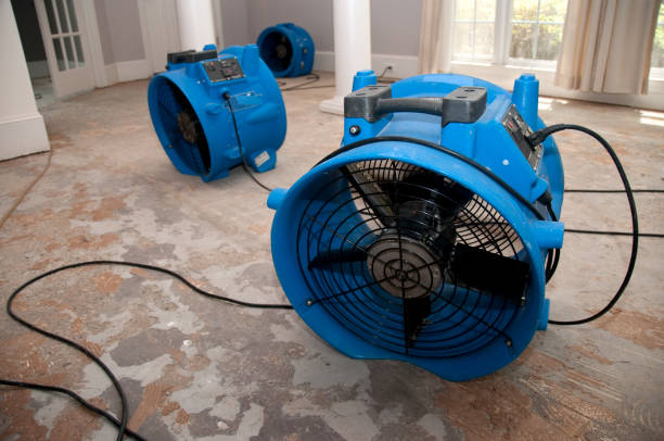 Best Residential water damage restoration  in Miles City, MT