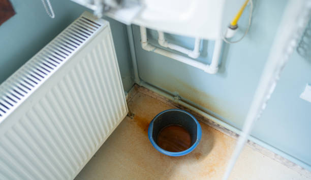 Best Carpet water damage restoration  in Miles City, MT