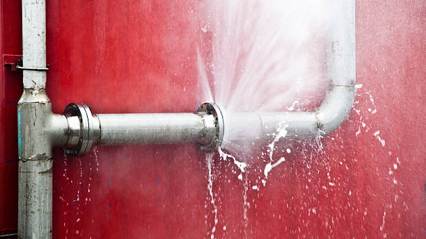 Best Flooded house restoration  in Miles City, MT