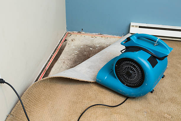 Best Fire Damage Restoration  in Miles City, MT